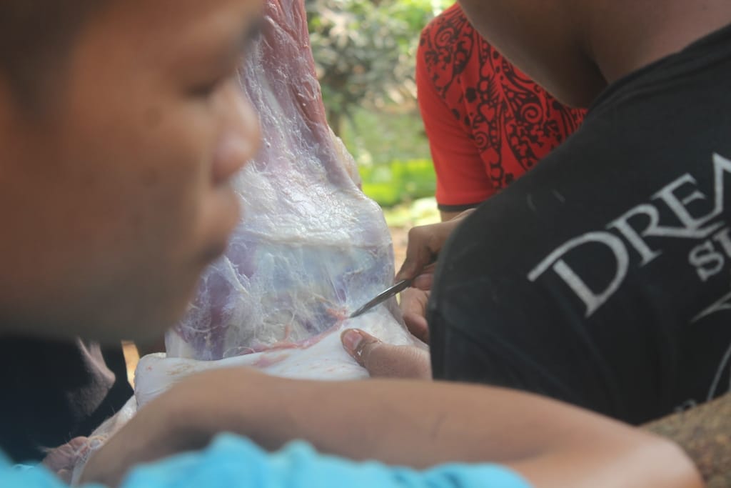 Warga LDII berkurban 914 sapi dan 941 ekor kambing