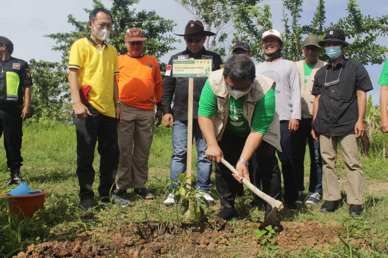 LDII Turut Partisipasi Proyek Penanaman Bibit Alpukat Unggul Ratu Puan