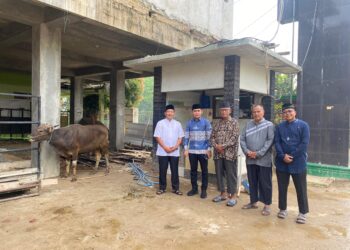 Bambang Iman Santoso Serahkan Sapi Kurban untuk Warga LDII Metro
