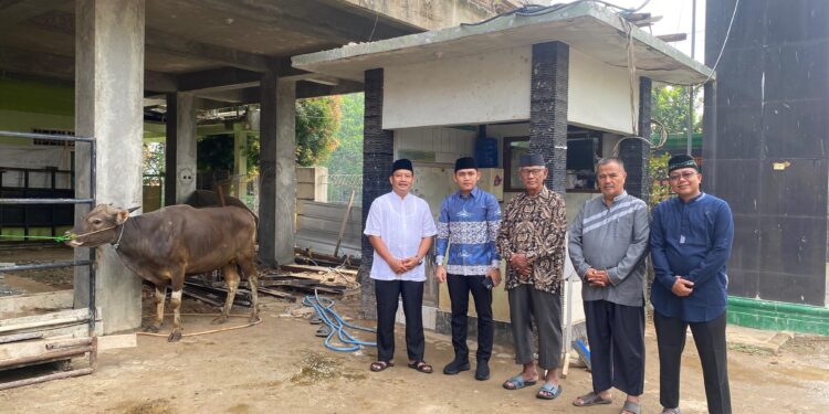 Bambang Iman Santoso Serahkan Sapi Kurban untuk Warga LDII Metro