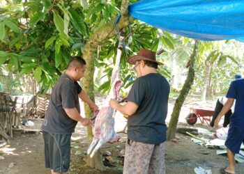 Hewan Kurban Warga LDII Tanggamus Naik 24 Persen, Wujud Tabungan Warga Selama Setahun