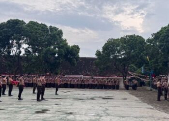 Tri Sukses Lampung Peringati Hari Pramuka ke-64, Kobarkan Semangat Ketahanan Bangsa