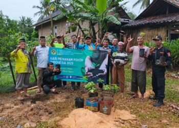 PC LDII Adiluwih Gelar Aksi Tanam Pohon: Wujud Ikhtiar Merawat Alam