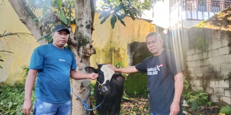 Terima Sapi Kurban dari Dandim, Ketua LDII Lampung Utara Berharap Jadi Manfaat untuk Syiar Islam